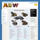 Animal Diversity Web