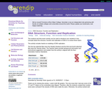 DNA Structure, Function and Replication