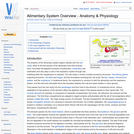 Alimentary System Overview - Anatomy & Physiology