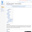 Alimentary System - Horse Anatomy