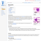 Basophils