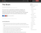 The Brain