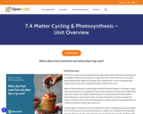 7.4 Matter Cycling & Photosynthesis - Unit Overview