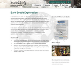 Bark Beetle Exploration