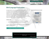 Bird Language Exploration