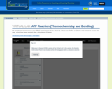 ATP Reaction (Thermochemistry and Bonding)