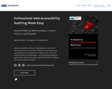 Professional Web Accessibility Auditing Made Easy