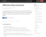 Affective Neuroscience