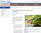 Life Cycle of Frogs, Dragonflies and Butterflies