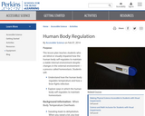 Human Body Regulation