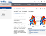 Blood Flow Through the Heart