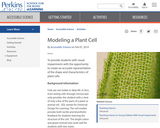 Modeling a Plant Cell