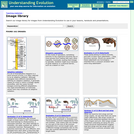 Understanding Evolution: Image Library