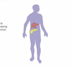 Diabetes - A Global Challenge - Novel Approaches in Drug Development Part 2 (13:10)